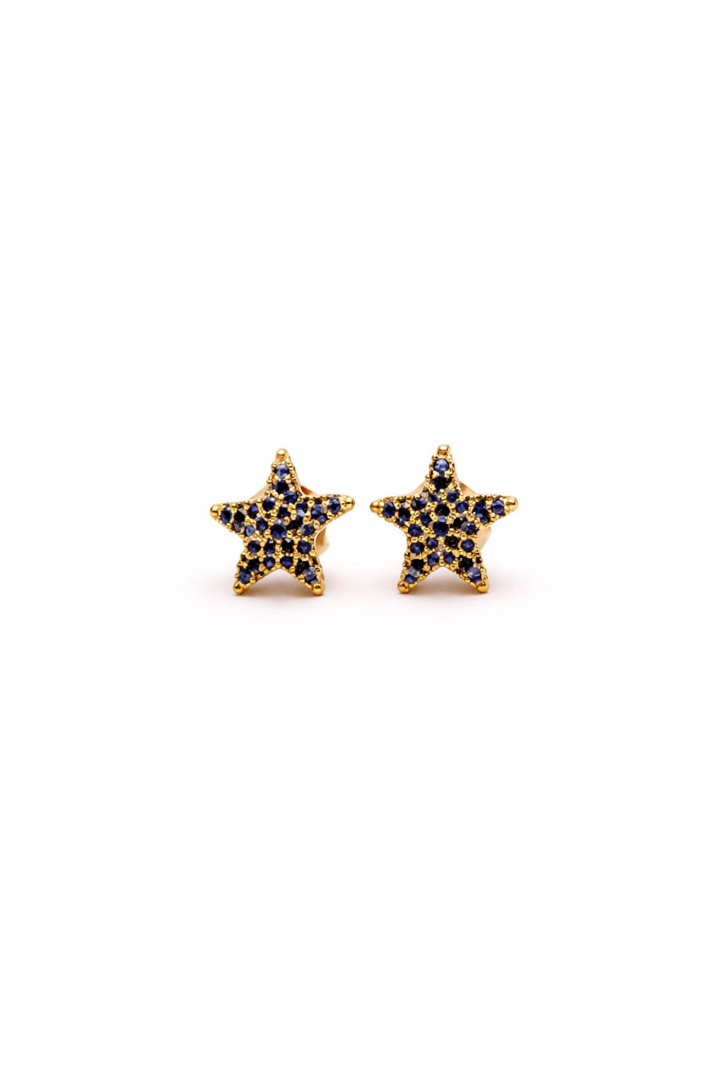 Sea Star Earrings